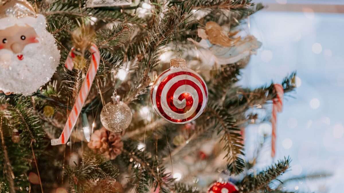 Mouse In Our Christmas Tree