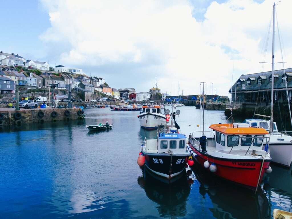 The All-Weather Mevagissey