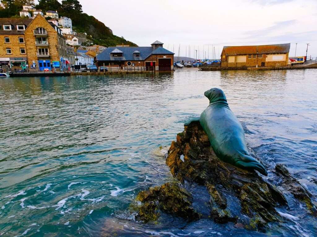 A Seal Called Nelson