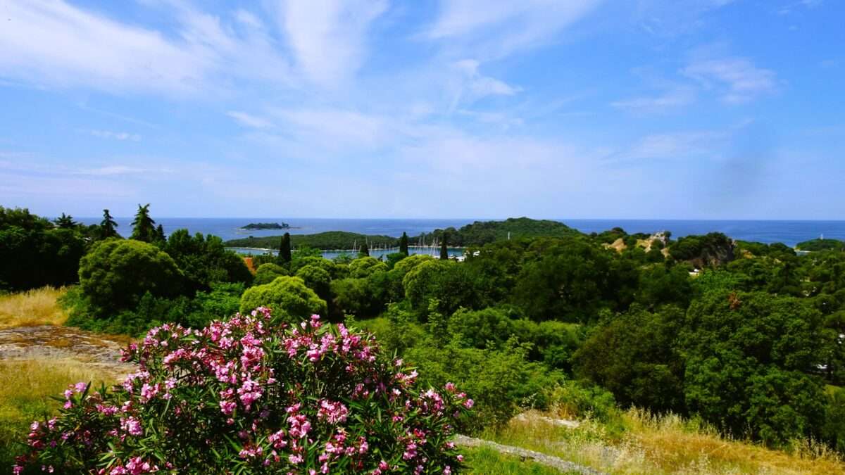 Spectacular Istria