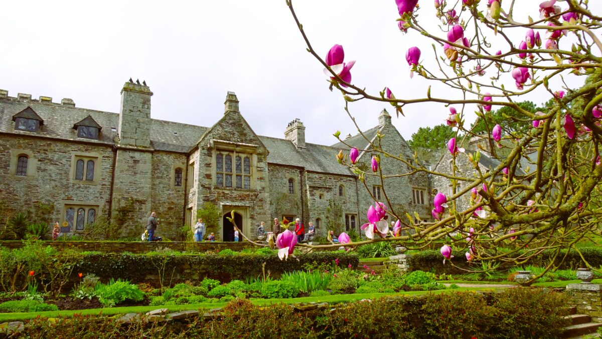 Cotehele in the Spring