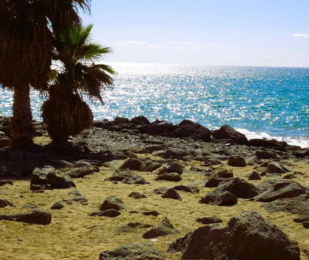 Maspalomas -Sand, Sea and Pigeons 2