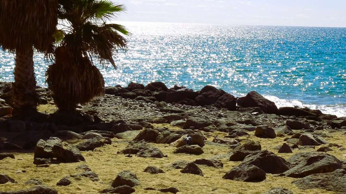 Sand, Sea and Pigeons – Maspalomas