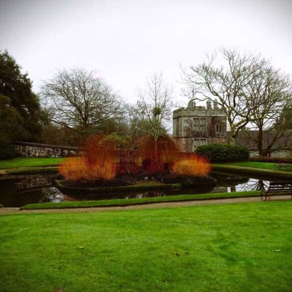 Cotehele in the Winter