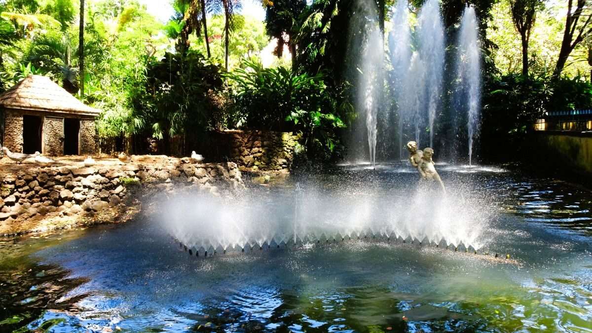 Fabulous Funchal
