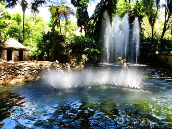 Fabulous Funchal