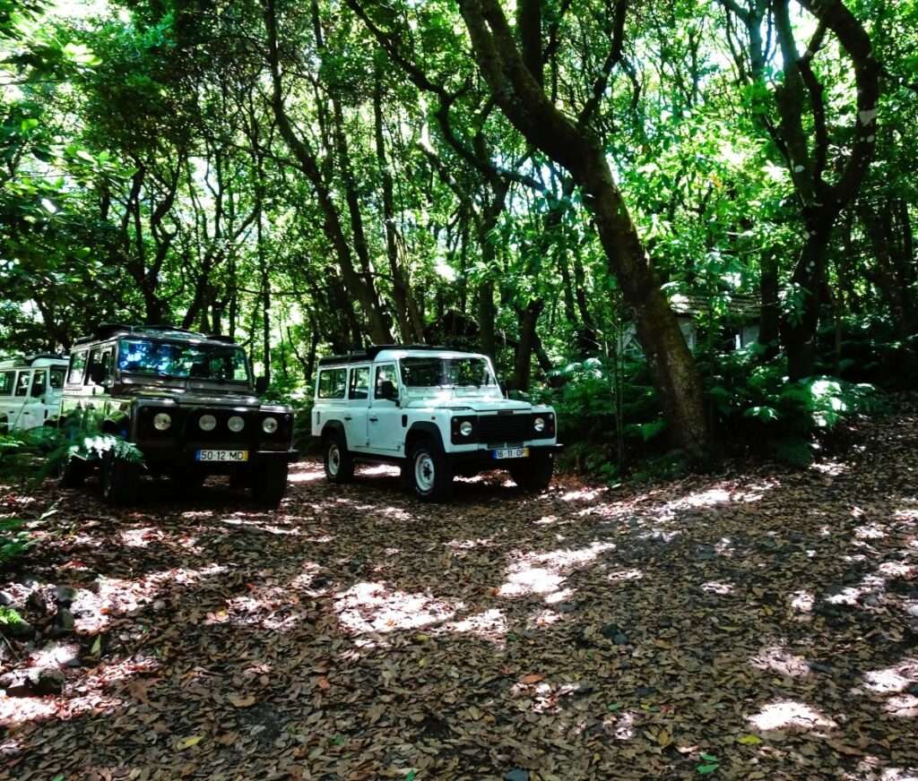 Off in a Jeep