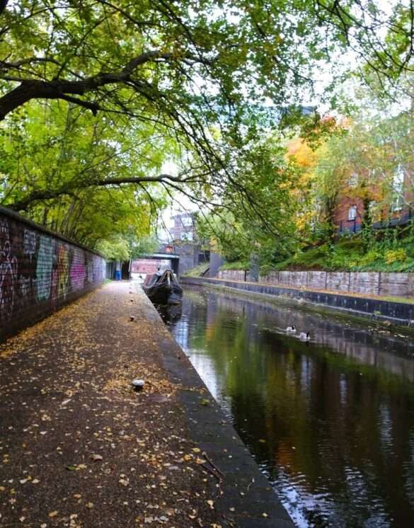 Birmingham's Enchanting Corner