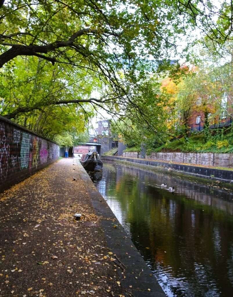 Birmingham's Enchanting Corner