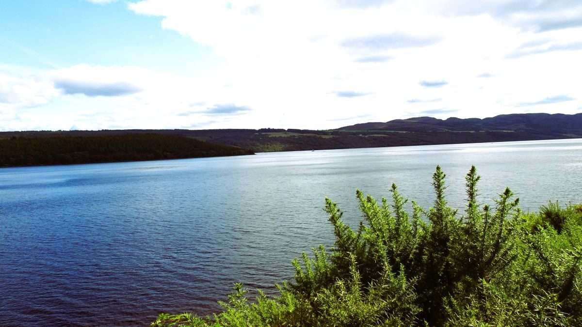 Beyond Invergordon
