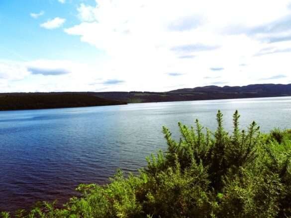 Beyond Invergordon